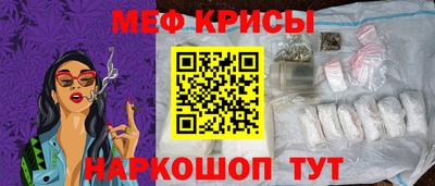 стафф Кингисепп