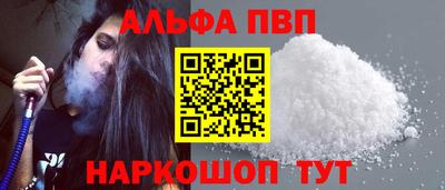 стафф Кингисепп