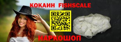 стафф Кингисепп