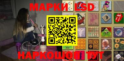 стафф Кингисепп