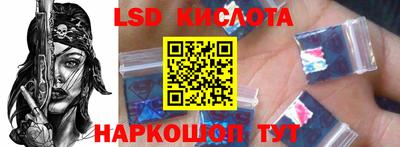 стафф Кингисепп