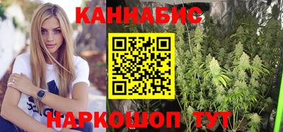 стафф Кингисепп