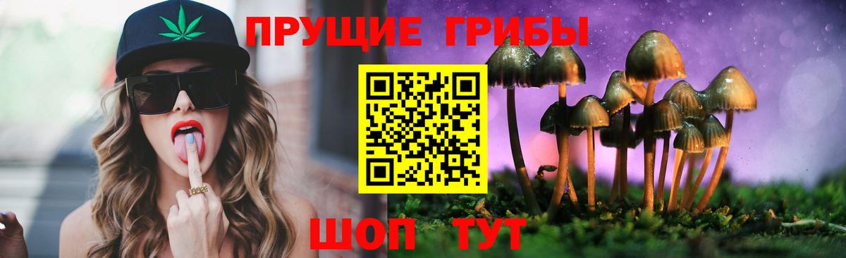 Чапаевск  Галлюциногенные грибы MAGIC MUSHROOMS  Вход с VPN  Псилоцибиновые грибы Psilocybine cubensis 